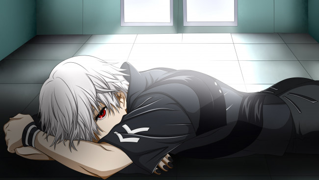 Обои картинки фото аниме, tokyo ghoul, ken, kaneki