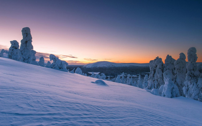 Обои картинки фото природа, зима, сугробы, деревья, снег, лапландия