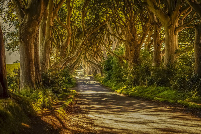 Обои картинки фото природа, дороги, простор