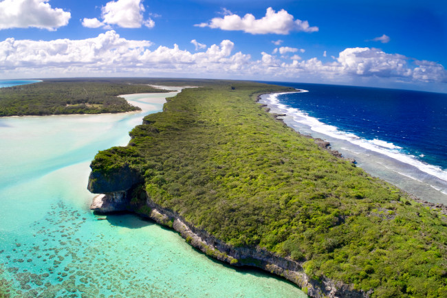 Обои картинки фото природа, моря, океаны, море, пляж, деревья, вода, побережье