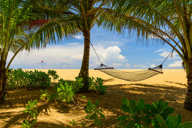 Обои картинки фото природа, тропики, простор