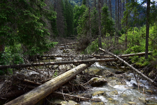 Обои картинки фото природа, реки, озера, простор