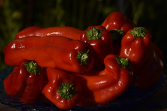 Картинка еда перец снедь