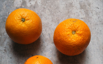 Картинка еда цитрусы апельсины