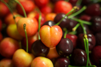 Картинка еда вишня +черешня черешня