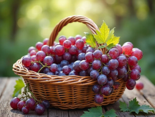 обоя еда, виноград, корзинка, ягоды, листья, гроздья