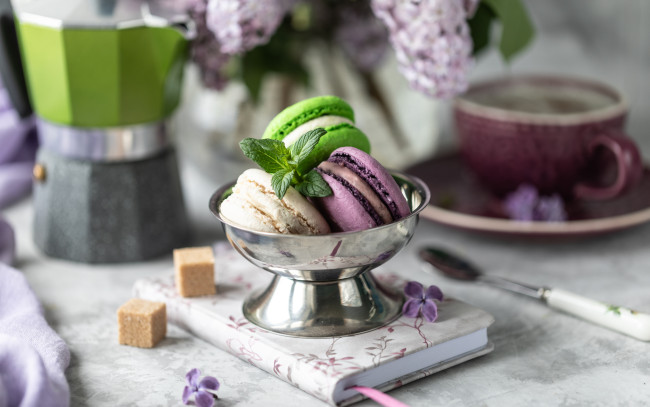 Обои картинки фото еда, макаруны, лакомство, ассорти