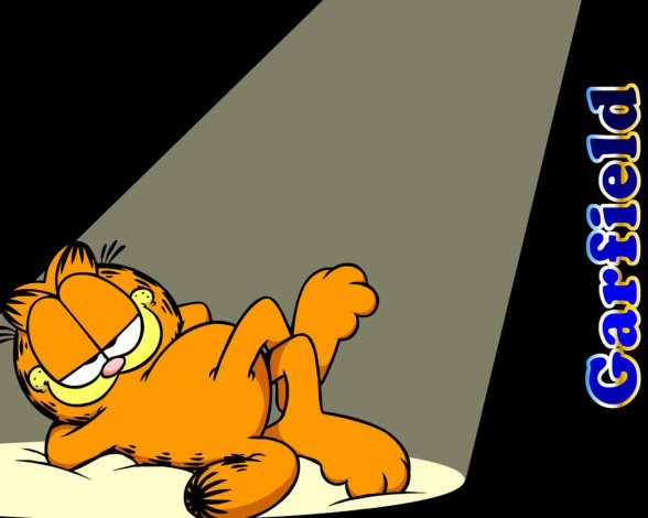 Обои картинки фото мультфильмы, garfield