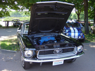 Картинка автомобили ford