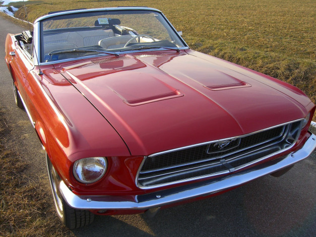 Обои картинки фото автомобили, ford