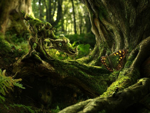 Картинка фэнтези существа