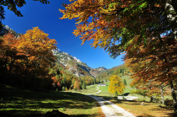 Картинка природа дороги осень