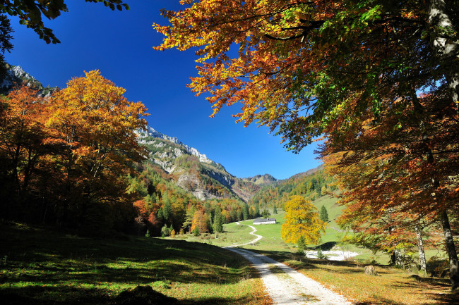 Обои картинки фото природа, дороги, осень