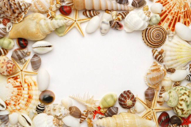Обои картинки фото разное, ракушки, кораллы, декоративные, spa, камни