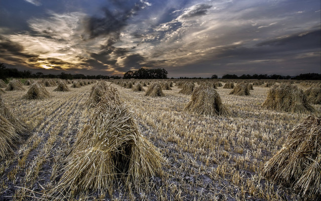 Обои картинки фото landscape, природа, поля, стога, поле, тучи