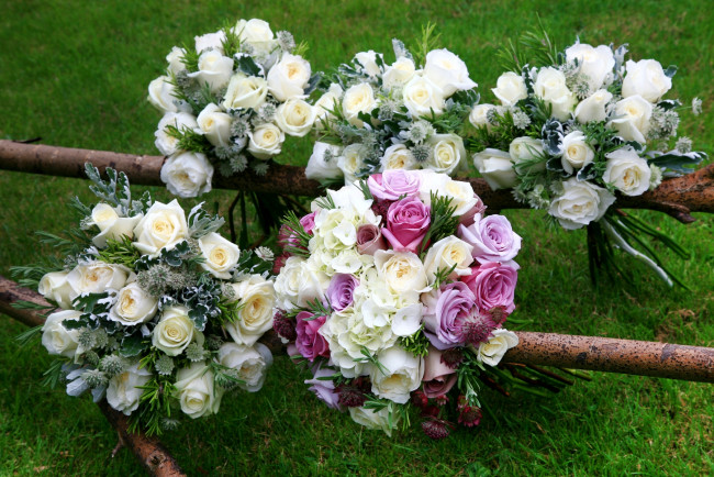 Обои картинки фото цветы, букеты, композиции, гортензия, астрантия, розы