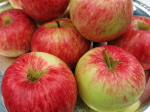 Картинка еда Яблоки яблоки