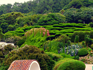 Картинка южная корея оedo botanical gardens природа парк кусты цветы