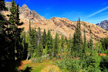 Картинка ливенворт сша природа горы ели