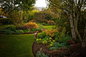 Картинка природа парк сад цветы деревья клумбы