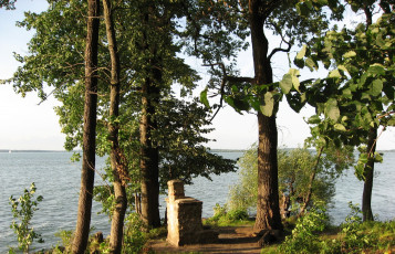 Картинка южный уэльс природа деревья река