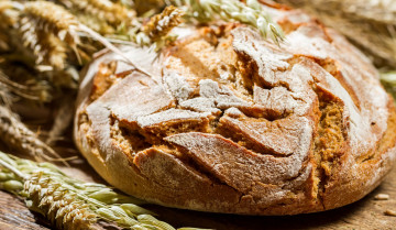 Картинка еда хлеб выпечка буханка колосья