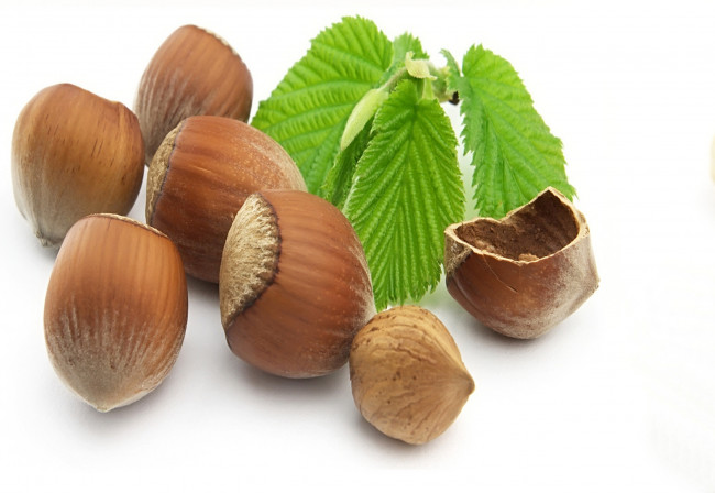 Обои картинки фото еда, орехи, каштаны
