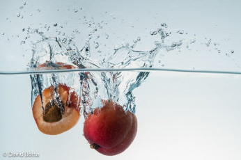 Картинка еда персики +сливы +абрикосы