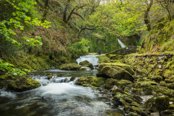 Картинка природа реки озера простор