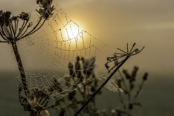 Картинка природа восходы закаты простор