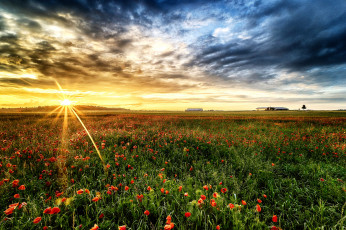 Картинка природа восходы закаты простор