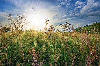 Картинка природа восходы закаты простор