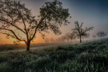 Картинка природа восходы закаты простор