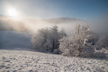 Картинка природа зима