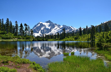 Картинка природа реки озера простор