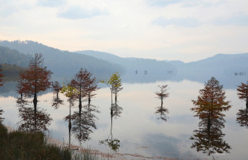 Картинка природа реки озера озеро