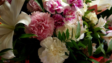 Картинка цветы разные+вместе гвоздики лилия альстромерия