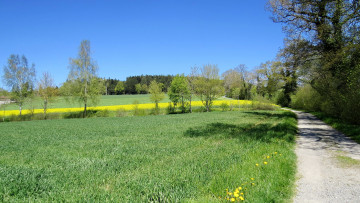 Картинка природа дороги дорога поле