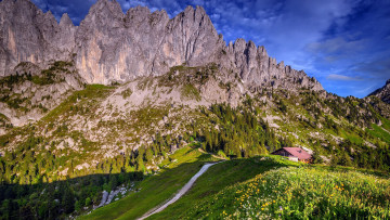 Картинка природа горы лес луг дом