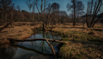 Картинка природа реки озера простор