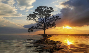 Картинка природа восходы закаты простор