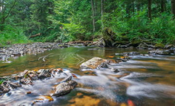 Картинка природа реки озера река