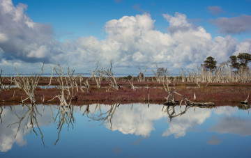 Картинка природа реки озера отражение