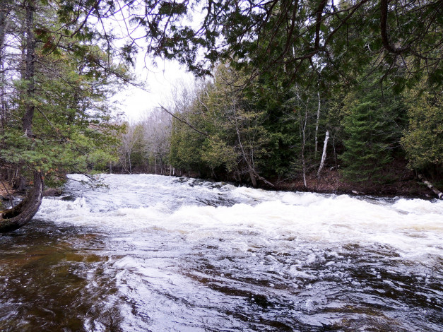 Обои картинки фото природа, реки, озера, бурная, река