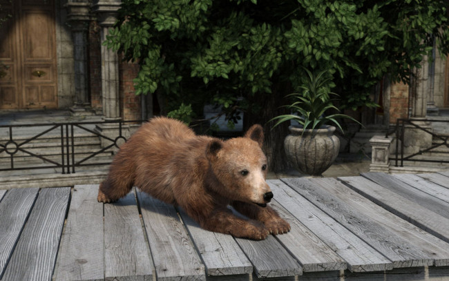 Обои картинки фото 3д графика, животные , animals, фон, медведь