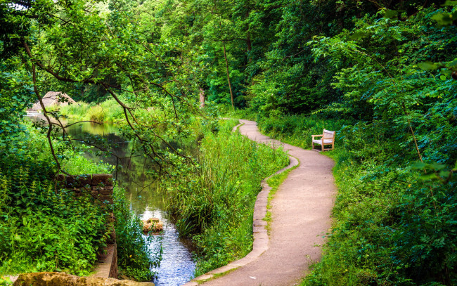 Обои картинки фото природа, парк, скамейка, водоем, аллея