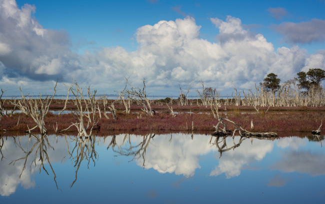 Обои картинки фото природа, реки, озера, отражение