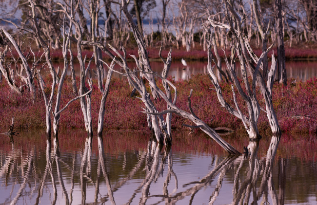 Обои картинки фото природа, реки, озера, плавни