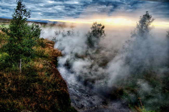 Обои картинки фото природа, лес, простор