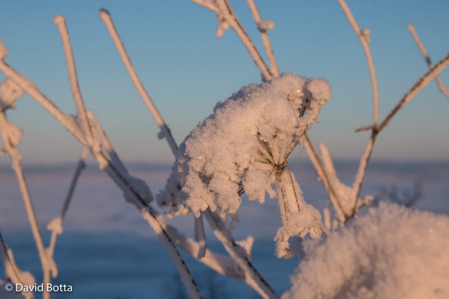 Обои картинки фото природа, макро, снег